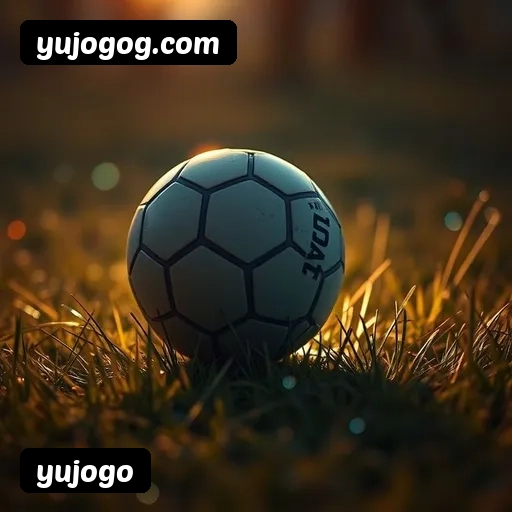 6 vantagens exclusivas do programa VIP da yujogo